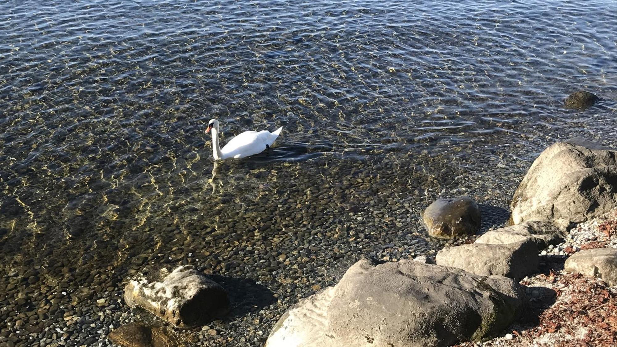Maisonette Am See نوننهورن المظهر الخارجي الصورة